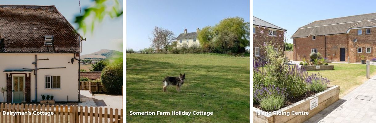 Pet friendly cottages and houses on the Isle of Wight